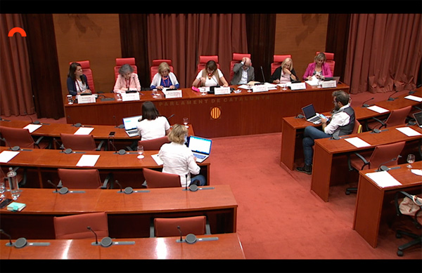 Comissió d'Estudi sobre la Salut Mental i les Addiccions