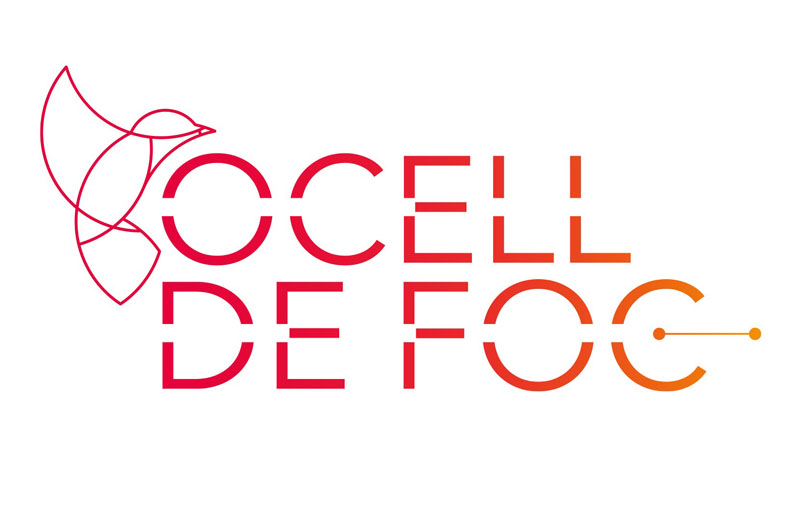 ANUNCI DE CONTRACTACIÓ DE SERVEI:  COACHING I ASSESSORAMENT INDIVIDUAL DEL PROJECTE OCELL DE FOC NOU BARRIS, SANT ANDREU I GRÀCIA